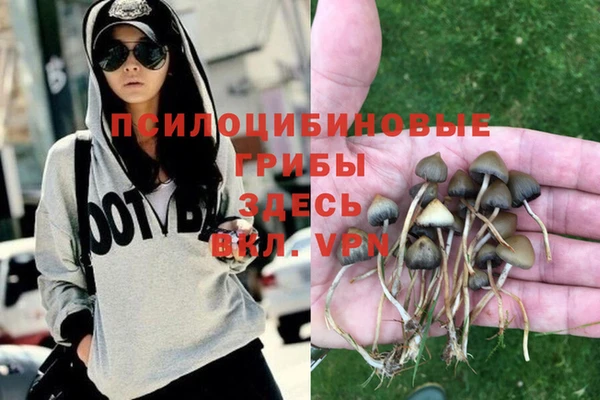 герыч Михайлов