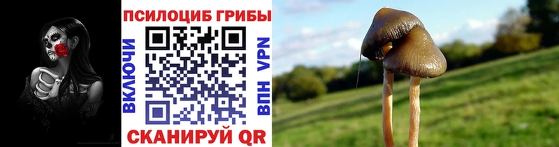 Галлюциногенные грибы GOLDEN TEACHER  Яхрома 